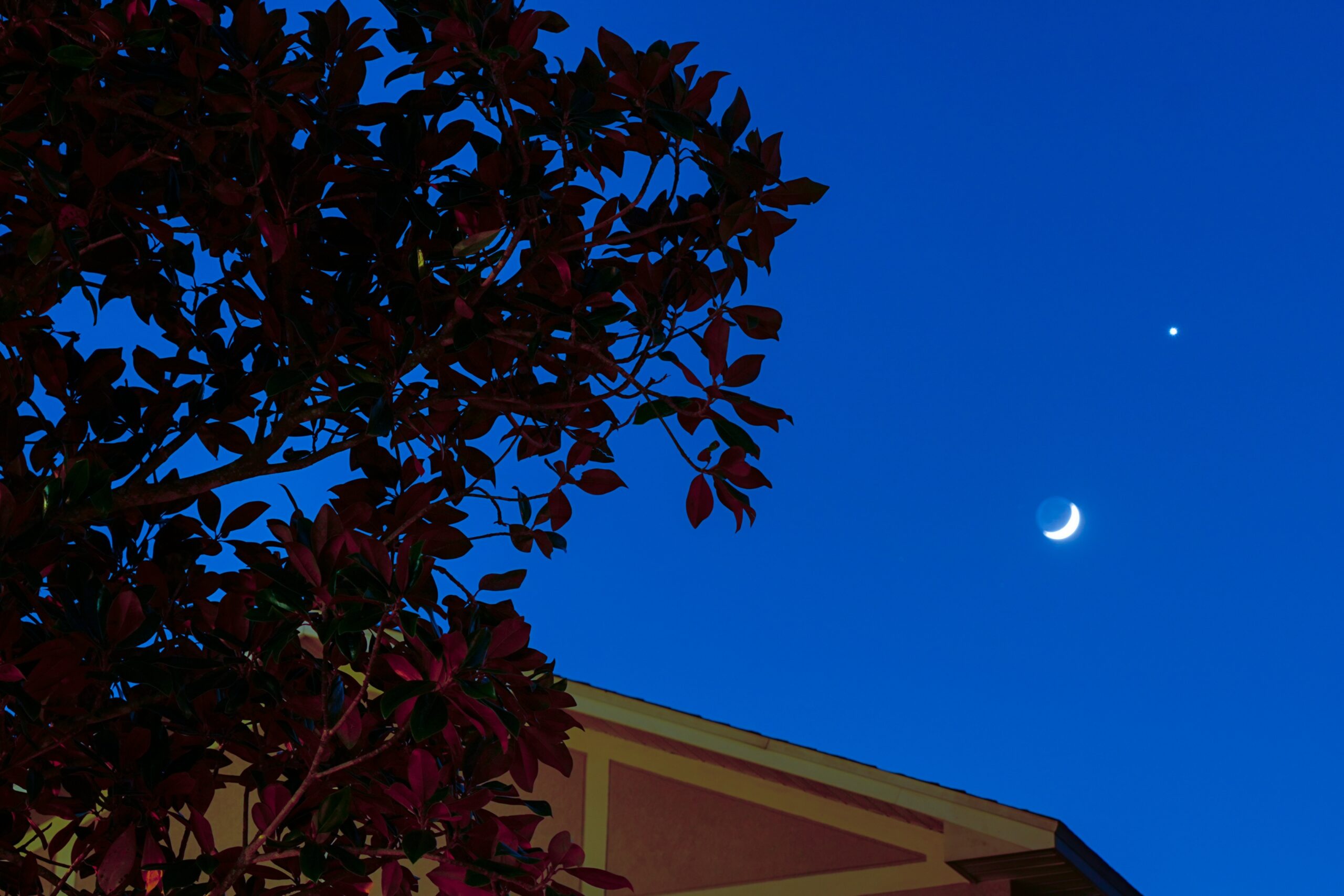 venus in the night sky