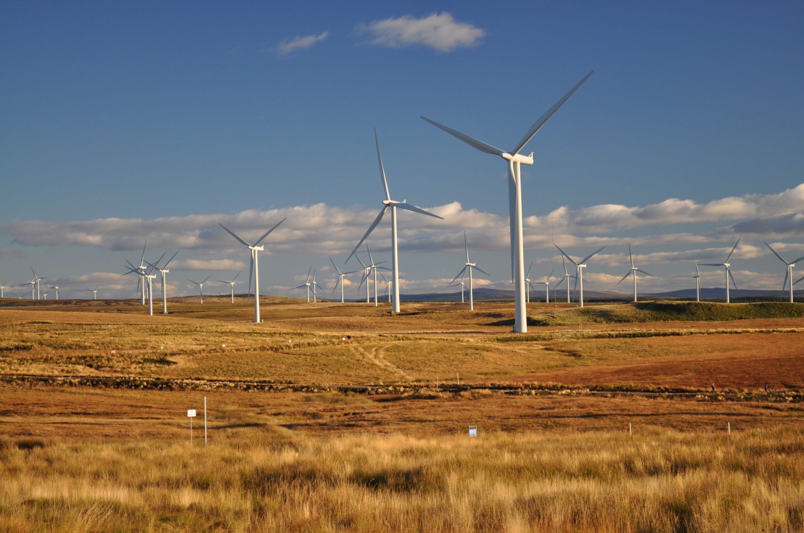 Wind farm in Eaglesham, Scotland showcasing renewable energy and sustainability.
